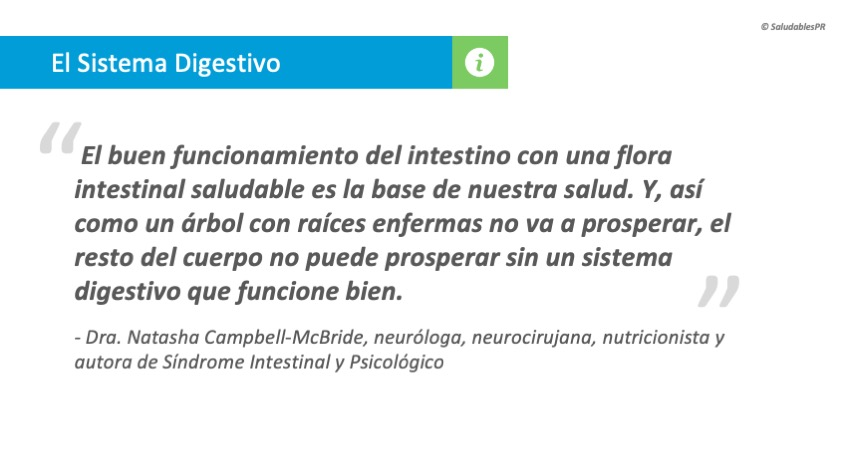 3C Buen funcionamiento del Sistema Digestivo 002