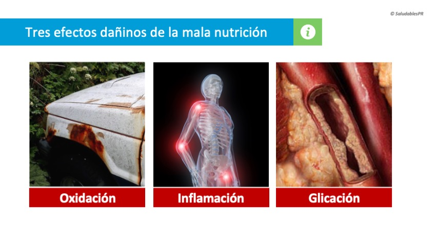 DC4 01 Tres efectos dañinos de pobre nutrición