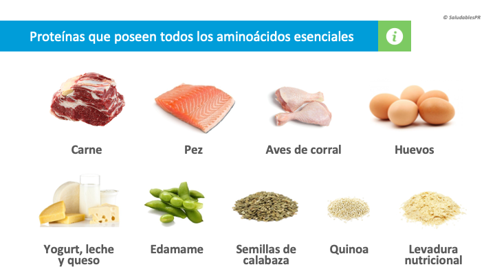 6NU14 Alimentos con aminoacidos completos 