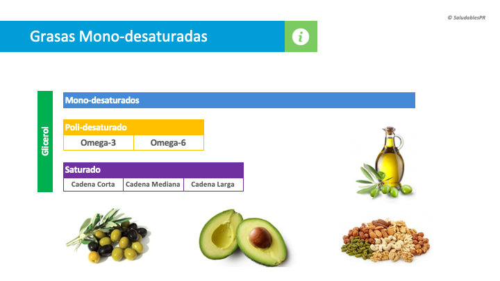 6NU19 Grasas mono desaturadas