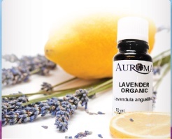 Lavender Essential Oil